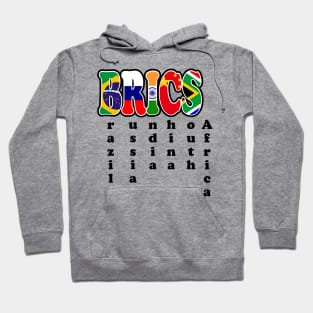 Brics Countries Hoodie